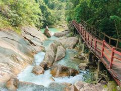 -广州白江湖森林公园