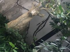 -边渡咖啡烘焙店(昙华林店)