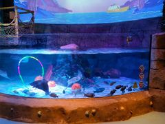 -沈阳海洋探索中心