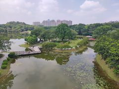-东莞植物园