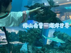 -乐从天佑城海洋馆