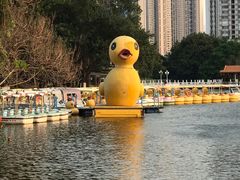 -荔枝公园(福田区)