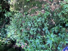 -龙苍沟森林公园