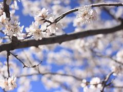 -北京大学赛克勒考古与艺术博物馆