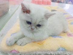 -万达广场(南昌红谷滩店)