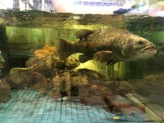 -聚福宝合苑食府(南头镇店)