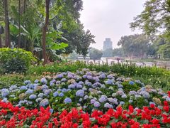 -荔湾湖公园