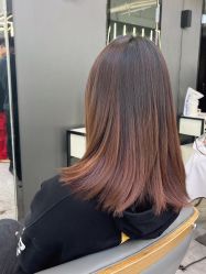 -藤野造型烫发染发