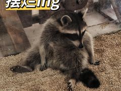 -海合安武汉极地海洋公园