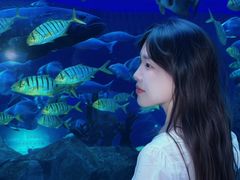 -石家庄极地海洋世界