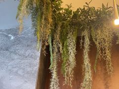 -江小渔鲜鱼火锅(西二道街店)