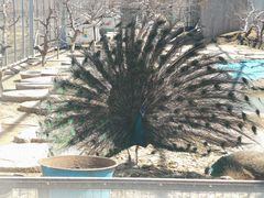 -河北村民俗体验园