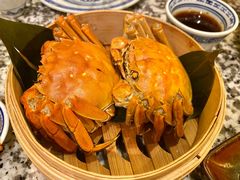 -南京大牌档(中关村店)
