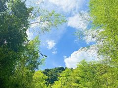 -千泷沟大瀑布旅游区