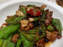 -青叶202都市餐厅(迪诺水镇店)