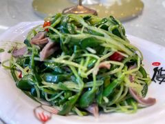 豆苗拌鸡胗-启东海鲜人家(古美路店)