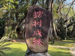 -瑞丽独树成林风景区