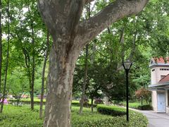 -徐家汇源景区-衡山公园