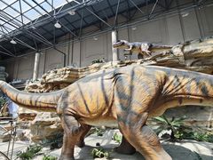 -国家自然博物馆