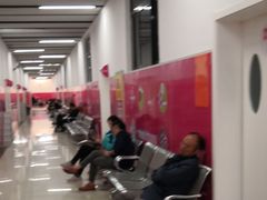 -陕西省小天鹅艺术团