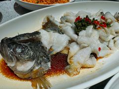 -紫光园·烤鸭·北京菜(团结湖店)