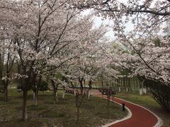 -江南大学(蠡湖校区)