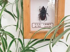 -TIENSTIENS将将(三里屯店)