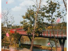 -王借岗森林公园