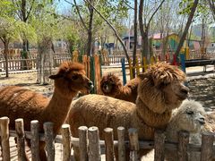 -水上乐园·欢乐世界