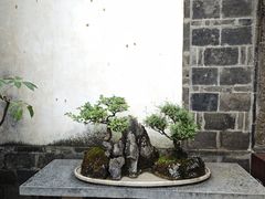 -朱家花园