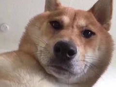 -金逸影城(光美江宁IMAX店)