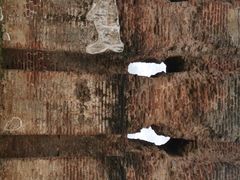 -波隆纳鲁沃古城皇家宫殿