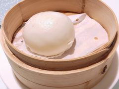 燕麦流沙包-维园悦谱·海派家常菜(乌鲁木齐南路店)
