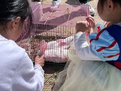 -小鱼草莓采摘园农家乐·小鱼餐厅