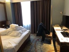 -格林东方酒店(淮南田家庵广场路店)