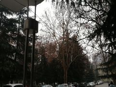-陕西师范大学(雁塔校区)