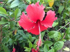 照片5-狐尾山公园