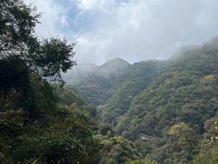 -西安祥峪森林公园