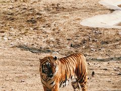 -济南野生动物世界