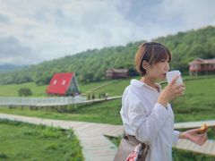 -关山草原