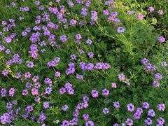 -福建鲤鱼洲酒店