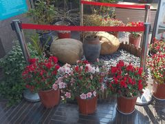 -华雅·云缦酒店(岳阳楼区火车站店)