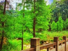 -重庆彩云湖湿地公园