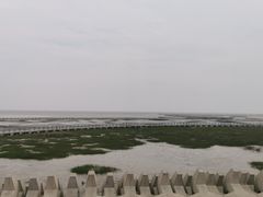 -南汇嘴观海公园