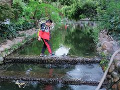 -成都市活水公园