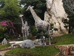 -东芭乐园
