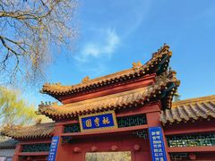 -桃花堤公园