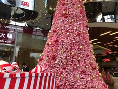 -微热山丘(台北民生公园门市店)