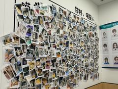 -瑞派·关忠动物医院·猫专科·犬专科(三环新城店)