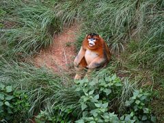 -云南野生动物园